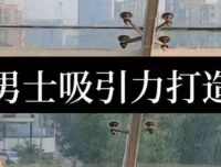 男士吸引力打造：从形象到恋商的全面提升课程