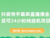 抖音快手无人直播挂机项目，最新玩法实现稳定收益