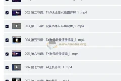 TikTok跨境出海全链路实战课：AI赋能起号选品内容制作，从环境搭建到回款全流程