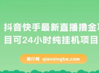 抖音快手无人直播挂机项目，最新玩法实现稳定收益