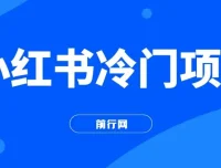 小红书冷门项目实操：3分钟生成原创文字动画视频，轻松日入500+
