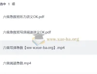 2025刘晓燕四六级急救班（保命班）6月12月双考季合集