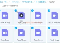 考试各科全记牢：16集高效记忆训练课程（含视频与图片电子书）