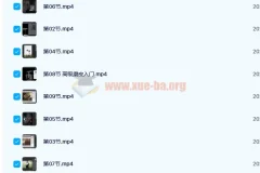 日系人像摄影私教课 20课时完整版
