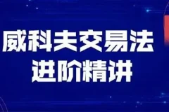 飞云金教《威科夫量价分析》实战交易课程