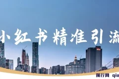 小红书精准引流实操教程，聚焦减肥、祛痘、创业粉，单人日引100+用户