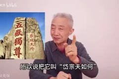 戴建业B站微课合集：李白、杜甫、苏轼经典诗词深度解读