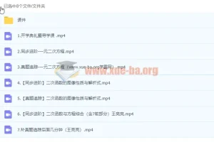 2023初三数学秋季系统课 王亮亮 猿辅导同步进阶