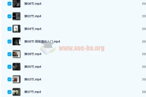 日系人像摄影私教课 20课时完整版