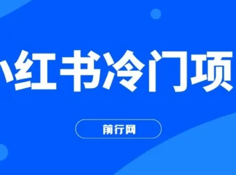 小红书冷门项目实操：3分钟生成原创文字动画视频，轻松日入500+