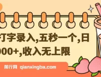 手机打字录入项目教程，零基础日入3000+实操指南