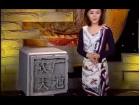 酿酒技术全攻略：从白酒到果酒的家庭酿造指南