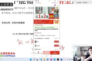 拼多多爆款运营实战课：纪主任亲授，从0到1打造高利润店铺