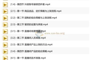 抖音AI直播精英流量特训营：从账号搭建到千川投放，全域流量变现实战全课