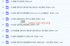 2024高二英语 张亮A+寒假班系统课程