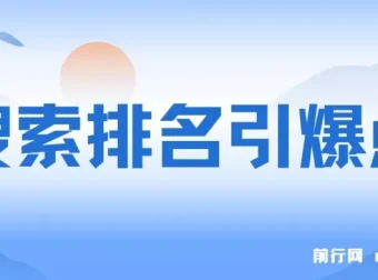 王通《搜索排名引爆点》实战课程