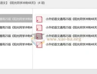 2025小升初语文冲刺必备：《阳光同学冲刺48天》全套资料