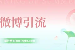 微博引流实战课程：日引200+创业粉，稳定变现3000+，纯搬运操作