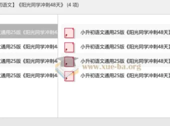 2025小升初语文冲刺必备：《阳光同学冲刺48天》全套资料
