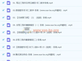 2024初二数学李爽秋季班下（人教版A+班）课程资源