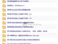 Netty+SpringBoot企业级即时通讯系统开发实战 15章完整版