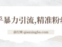 知乎暴力引流实操课：日引300+精准粉丝的落地玩法