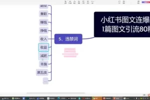 小红书爆款图文引流与连爆秘籍：从养号到私域转化全攻略