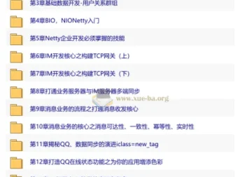 Netty+SpringBoot企业级即时通讯系统开发实战 15章完整版