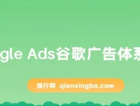 Google Ads谷歌广告体系化教程：从零基础到高手进阶，掌握高质量流量获客密码