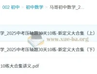 马哥初中数学2025中考压轴题30天10练·新定义大合集