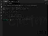 Electerm v1.39.76 开源跨平台SSH桌面终端 中文版下载