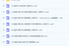 2024高二物理 孙竞轩A+春季班 全程精讲课程
