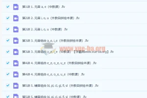 韩淑娇自然拼读1级直播班 6讲全攻略