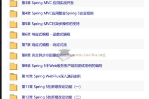 Spring5新特性深度解析：14小时实战WebFlux响应式编程