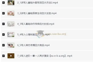 肖书媛老师全集：满分作文、阅读满分与学霸技巧系统课
