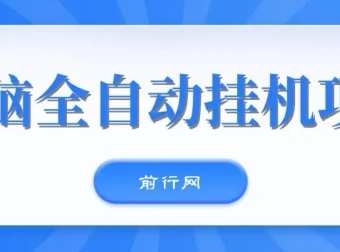 无脑全自动挂机项目，单账号日收益150+，支持批量矩阵操作