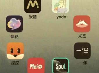 社交软件玩法大全：Soul/陌陌/探探/世纪佳缘/MarryU/Tinder/她说/积木全平台实战教程
