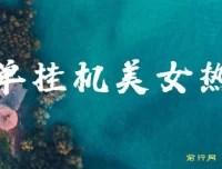 美女热舞挂机项目，轻松实现月入2-5万，支持矩阵操作