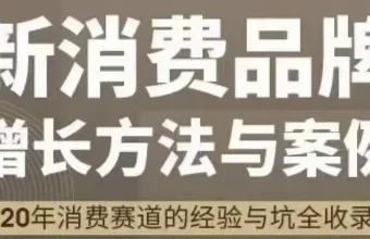 新消费品牌增长方法与案例：王岑PROPELGT八字心法实战解析
