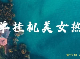 美女热舞挂机项目，轻松实现月入2-5万，支持矩阵操作