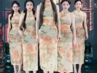抖音弹幕创意玩法：轻松提升直播间打赏收益攻略