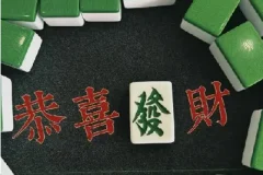 刘坚强麻将学技术训练与技巧（完结）——从入门到精通的全方位实战教程