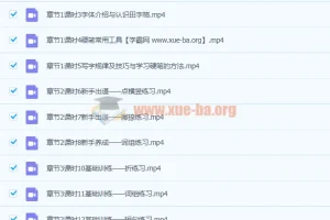 程诚《14天硬笔楷书基本功》19集完整版 硬笔书法系统训练课程