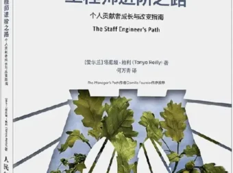 工程师进阶之路：个人贡献者成长与改变指南 塔尼娅·赖利 PDF 电子书