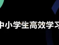 学习白皮书：内驱力驱动 + 标准学习流程 + 高效方法体系 + 全学段规划