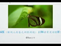 267个核心词根系统精讲：英语单词速记完整课程