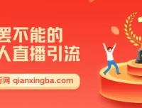 无人直播引流实操课：日引千粉的精准创业流量玩法