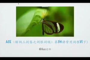 267个核心词根系统精讲：英语单词速记完整课程