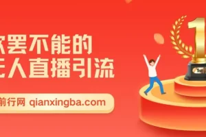 无人直播引流实操课：日引千粉的精准创业流量玩法