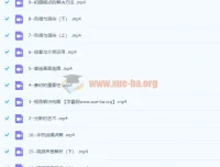 李辉手机视频拍摄美学课：零基础入门，一部手机完成专业级视频创作